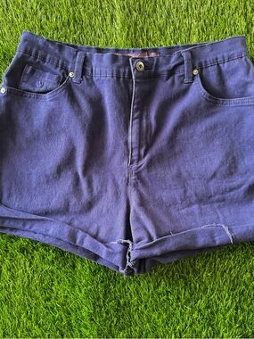 Purple Denim Cutoff Shorts
